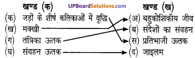 UP Board Solutions for Class 8 Science Chapter 6 कोशिका से अंग तंत्र तक img-1