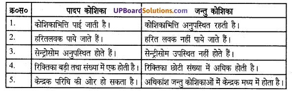 UP Board Solutions for Class 8 Science Chapter 6 कोशिका से अंग तंत्र तक img-3