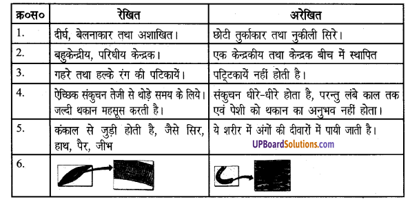 UP Board Solutions for Class 8 Science Chapter 6 कोशिका से अंग तंत्र तक img-4