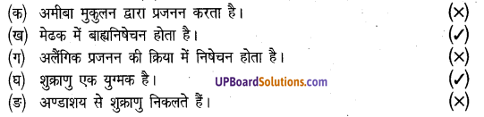 UP Board Solutions for Class 8 Science Chapter 7 जन्तुओं में जनन img-1