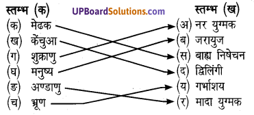 UP Board Solutions for Class 8 Science Chapter 7 जन्तुओं में जनन img-2