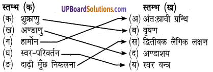 UP Board Solutions for Class 8 Science Chapter 8 किशोरावस्था img-2