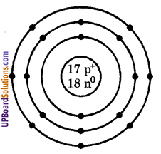 UP Board Solutions for Class 9 Science Chapter 4 Structure of the Atom image - 21