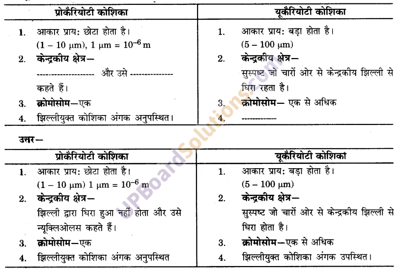 UP Board Solutions for Class 9 Science Chapter 5 The Fundamental Unit of Life image -1