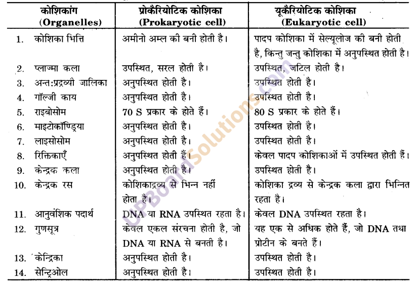 UP Board Solutions for Class 9 Science Chapter 5 The Fundamental Unit of Life image -17