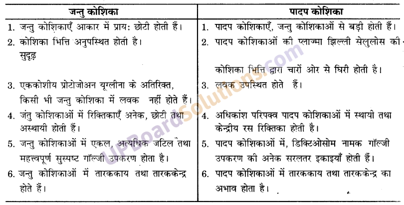 UP Board Solutions for Class 9 Science Chapter 5 The Fundamental Unit of Life image -2