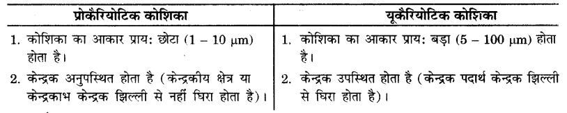 UP Board Solutions for Class 9 Science Chapter 5 The Fundamental Unit of Life image -3