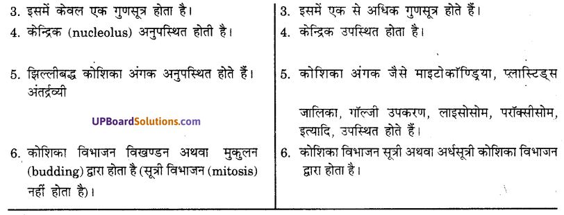 UP Board Solutions for Class 9 Science Chapter 5 The Fundamental Unit of Life image -4