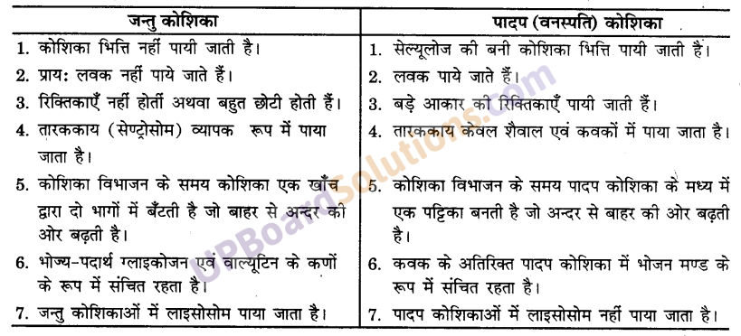 UP Board Solutions for Class 9 Science Chapter 5 The Fundamental Unit of Life image -9