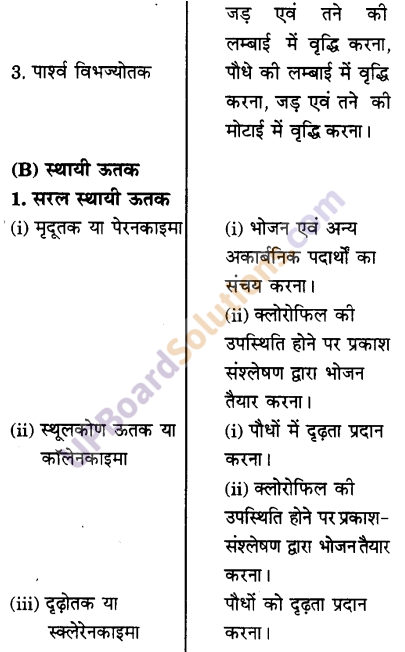 UP Board Solutions for Class 9 Science Chapter 6 Tissues image -10
