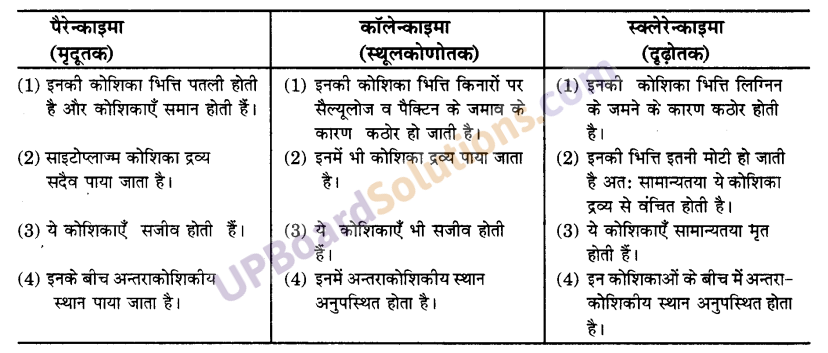 UP Board Solutions for Class 9 Science Chapter 6 Tissues image -2