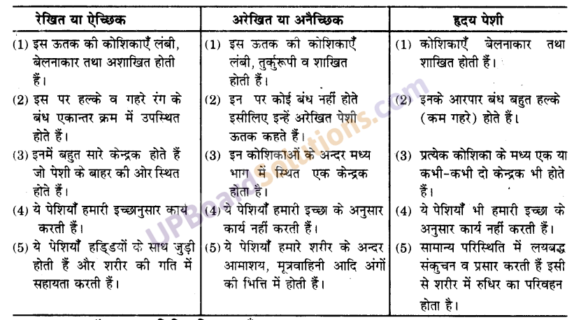 UP Board Solutions for Class 9 Science Chapter 6 Tissues image -4