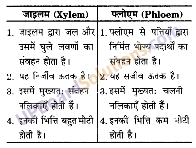 UP Board Solutions for Class 9 Science Chapter 6 Tissues image -7