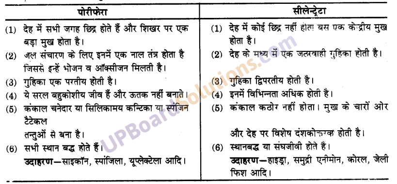 UP Board Solutions for Class 9 Science Chapter 7 Diversity in Living Organisms image - 1