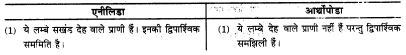 UP Board Solutions for Class 9 Science Chapter 7 Diversity in Living Organisms image - 2