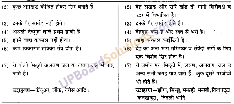 UP Board Solutions for Class 9 Science Chapter 7 Diversity in Living Organisms image - 3