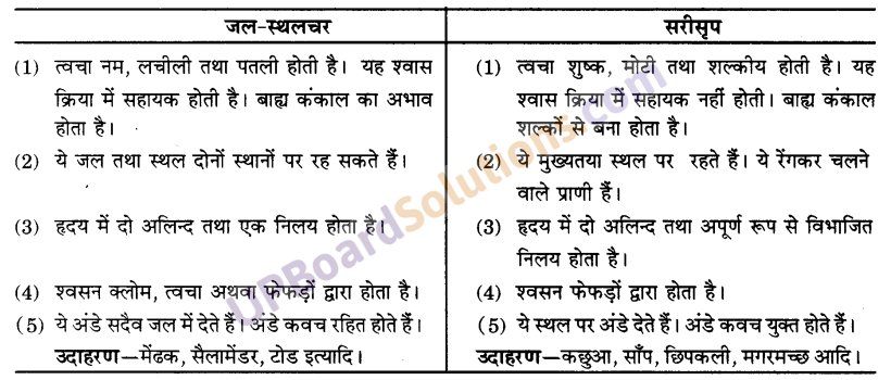 UP Board Solutions for Class 9 Science Chapter 7 Diversity in Living Organisms image - 4