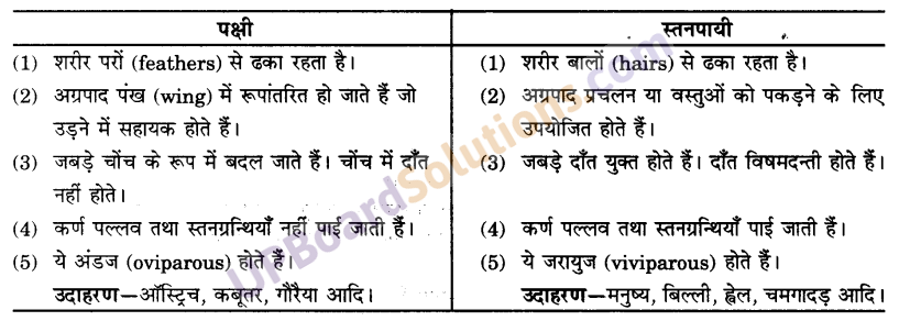 UP Board Solutions for Class 9 Science Chapter 7 Diversity in Living Organisms image - 5