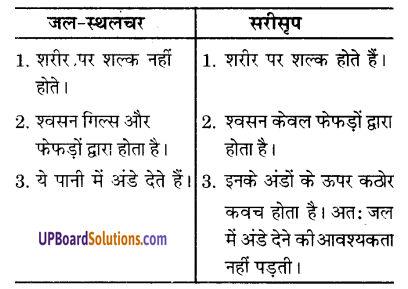 UP Board Solutions for Class 9 Science Chapter 7 Diversity in Living Organisms image - 6