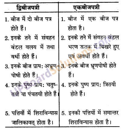 UP Board Solutions for Class 9 Science Chapter 7 Diversity in Living Organisms image - 7